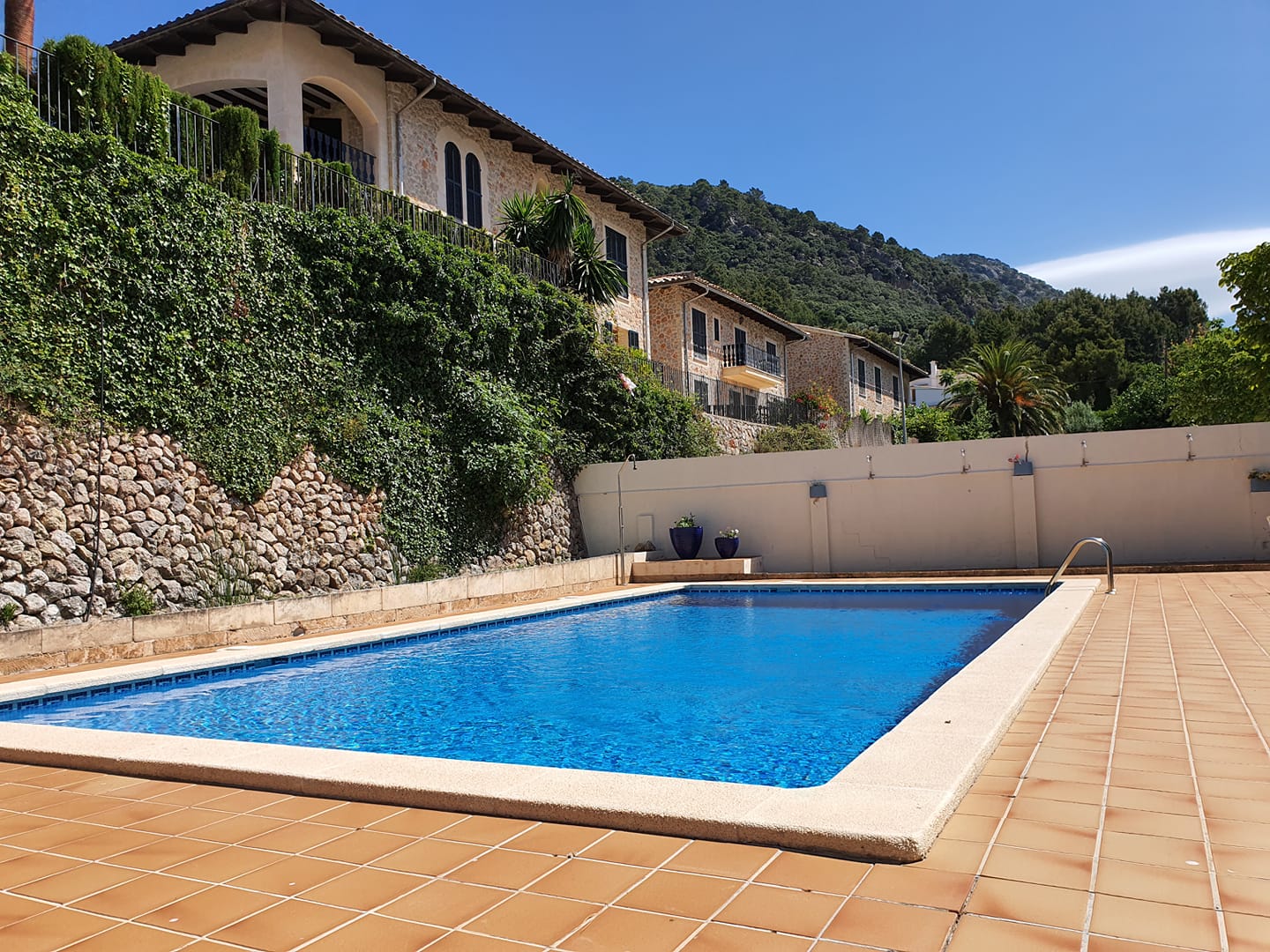 117387421 917764652067417 5340812010650029530 n