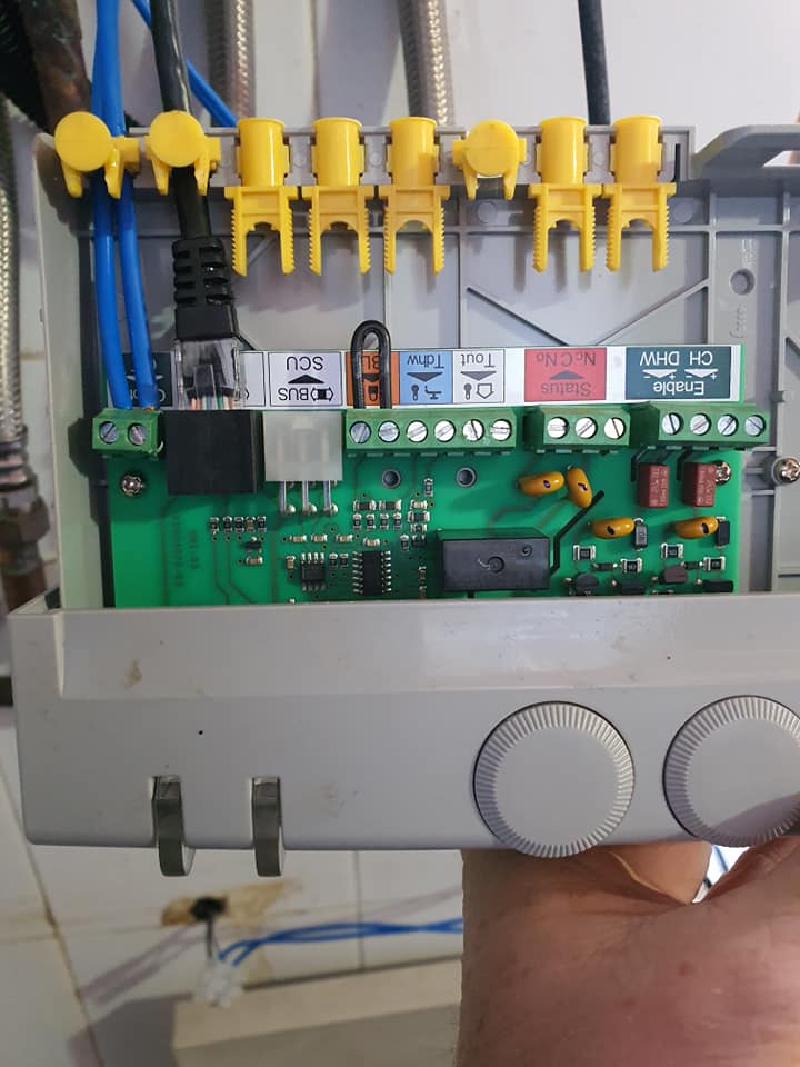 137303856 1034832800360601 1098558080608251356 n